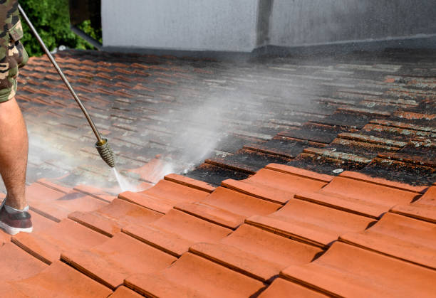 Best Pressure Washing Siding  in Amsterdam, NY